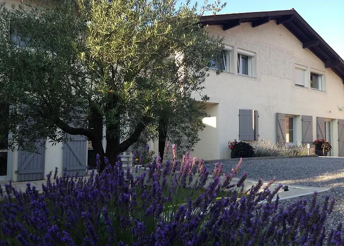 Bed and Breakfast Aux Sources D'hossegor 4*