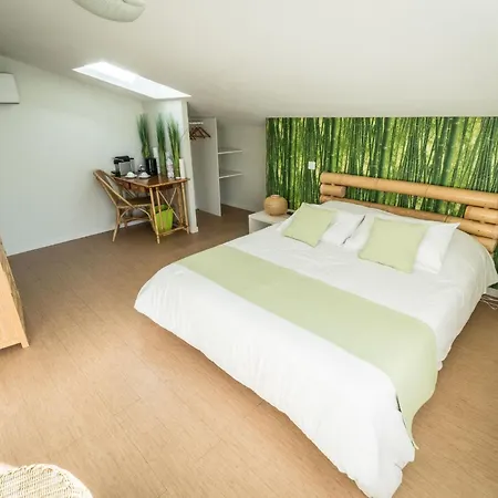 Aux Sources D'hossegor B&B 소르-호스고르
